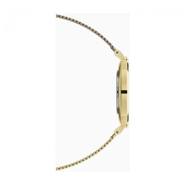 DANIEL WELLINGTON Petite Evergold Mesh Kulta/Valkoinen 36mm DW00100346