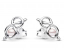 Pandora Timeless Infinity korvakorut 293761C01