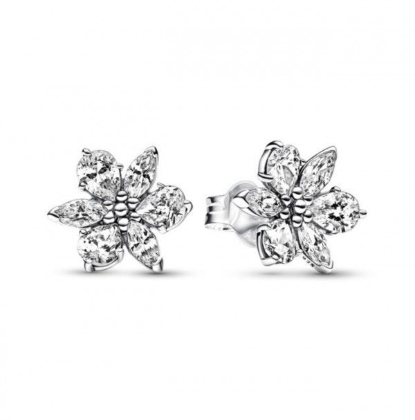 Pandora Timeless Sparkling Herbarium Cluster korvakorut 292633C01