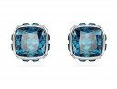 Swarovski Birthstone December korvakorut 5660796