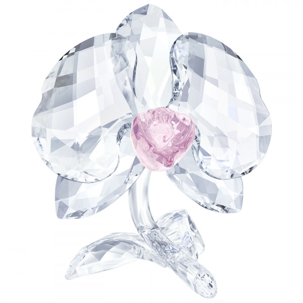 SWAROVSKI Orkidea 5301562