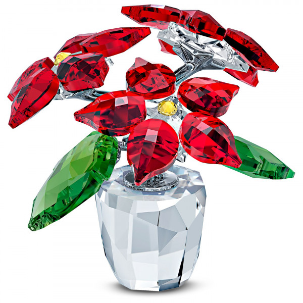 SWAROVSKI Joulutähti Poinsettia 5538626