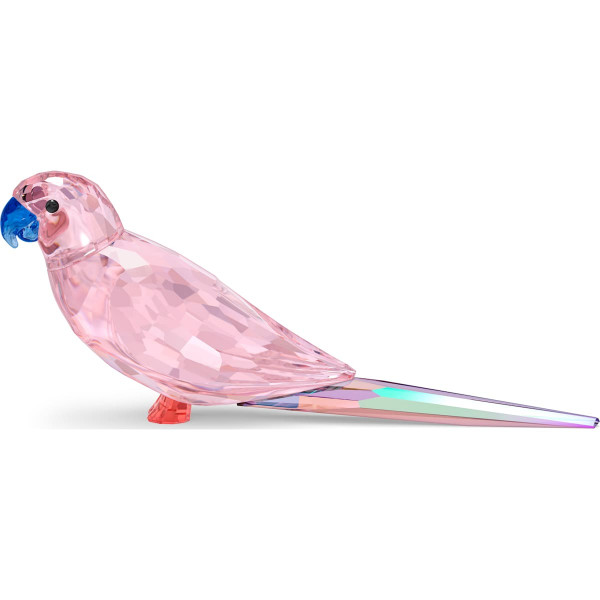 SWAROVSKI JUNGLE BEATS PINK PARAKEET 5557848