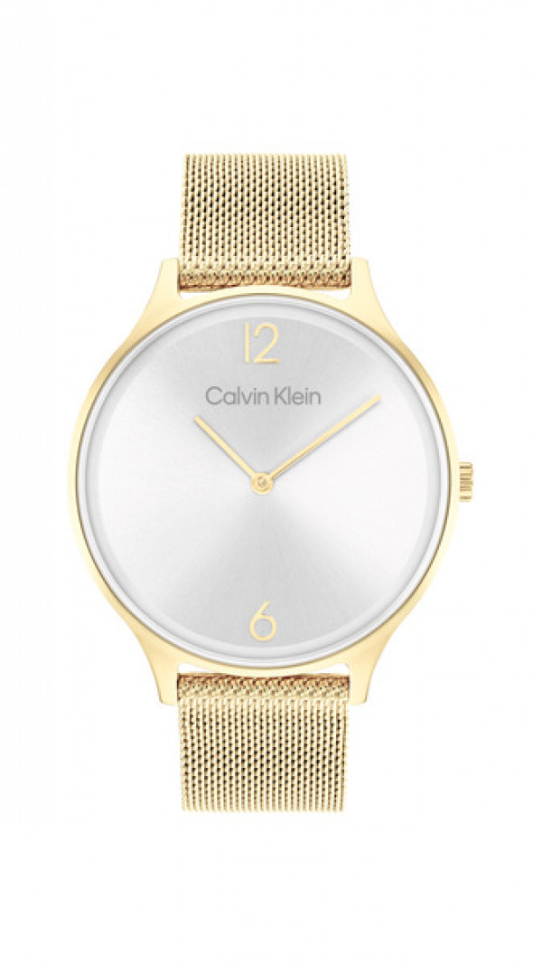 Calvin Klein Naisten rannekello TIMELESS CK25200003