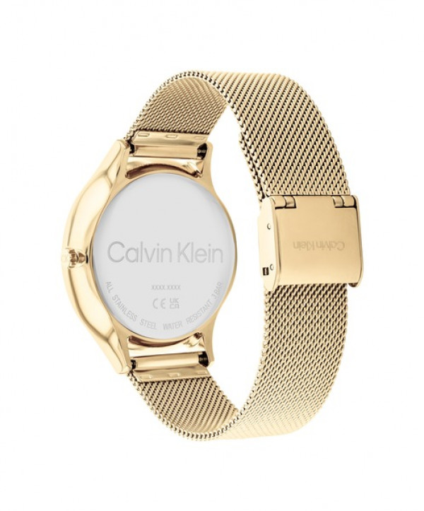 Calvin Klein Naisten rannekello TIMELESS CK25200103